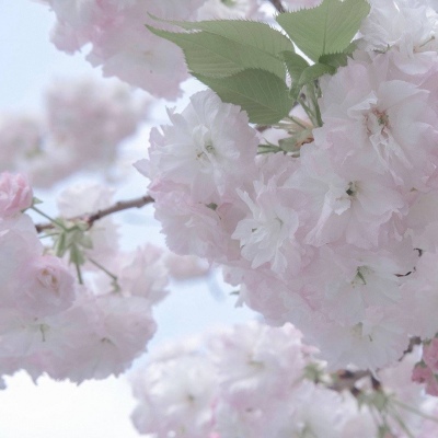 冷水江福瑞交流群